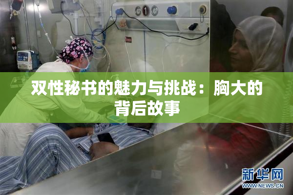 双性秘书的魅力与挑战：胸大的背后故事