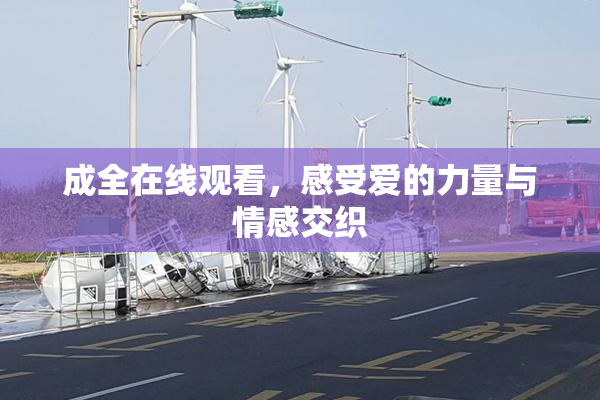 成全在线观看，感受爱的力量与情感交织