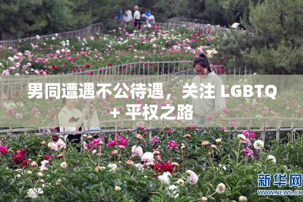 男同遭遇不公待遇，关注 LGBTQ+ 平权之路