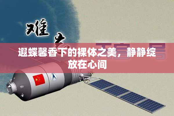 遐蝶馨香下的裸体之美，静静绽放在心间