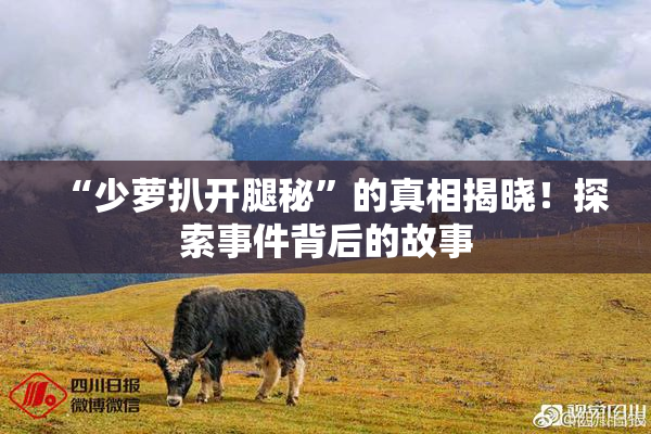 “少萝扒开腿秘”的真相揭晓！探索事件背后的故事