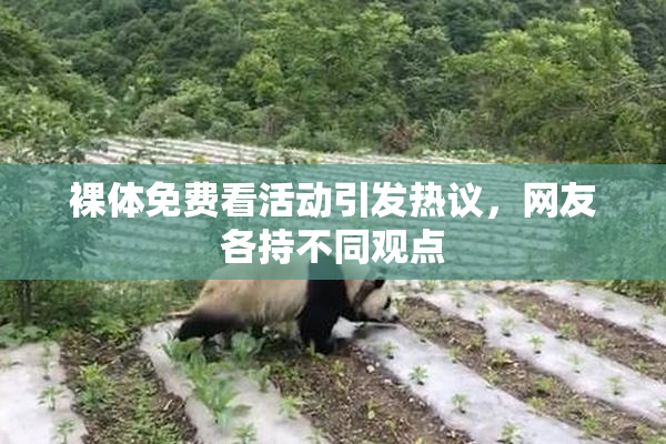 裸体免费看活动引发热议，网友各持不同观点