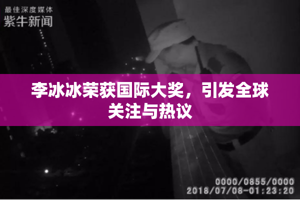 李冰冰荣获国际大奖，引发全球关注与热议