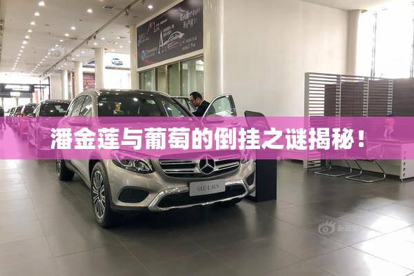潘金莲与葡萄的倒挂之谜揭秘！