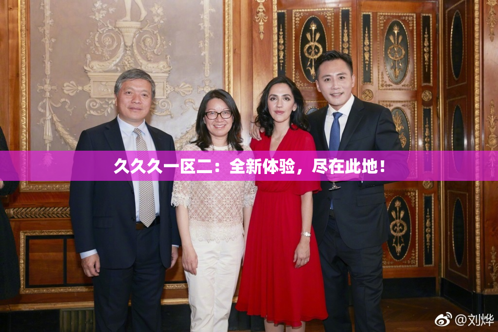 久久久一区二：全新体验，尽在此地！
