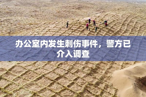 办公室内发生刺伤事件，警方已介入调查
