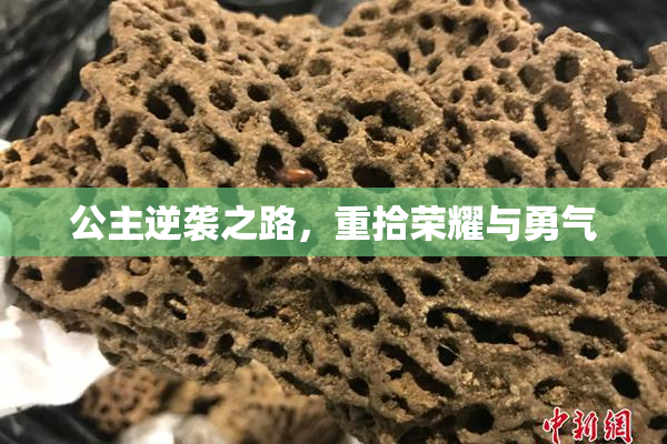 公主逆袭之路，重拾荣耀与勇气