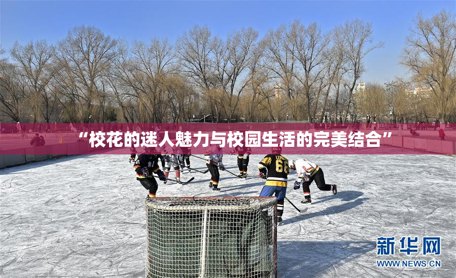 “校花的迷人魅力与校园生活的完美结合”