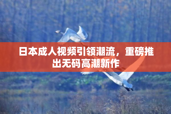 日本成人视频引领潮流，重磅推出无码高潮新作
