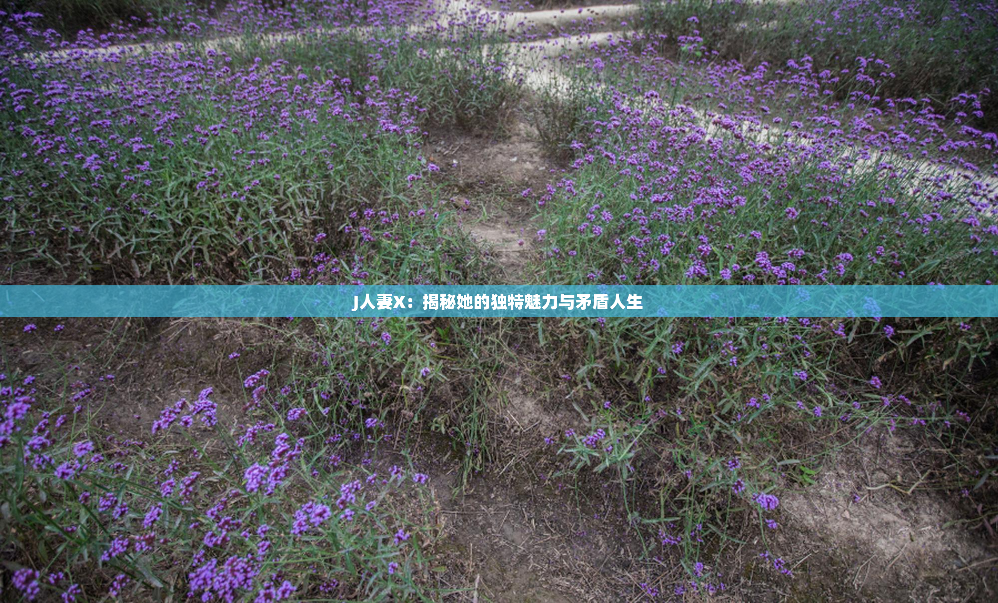 J人妻X：揭秘她的独特魅力与矛盾人生