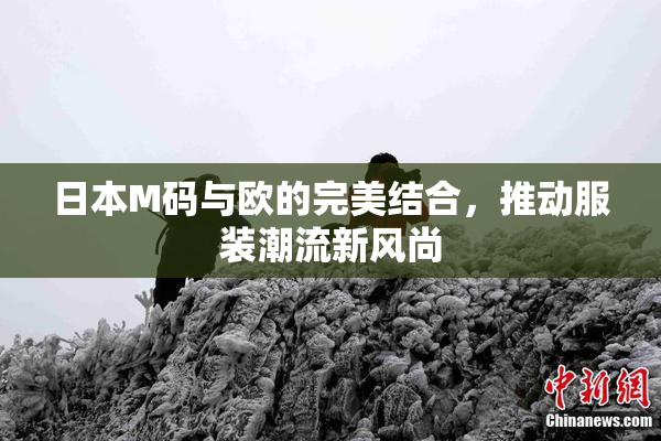 日本M码与欧的完美结合，推动服装潮流新风尚