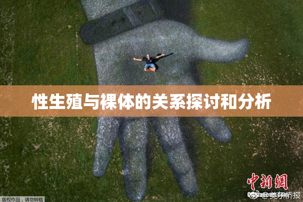 性生殖与裸体的关系探讨和分析