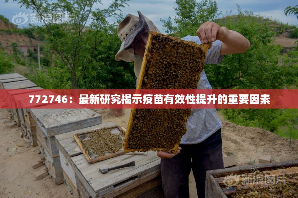 772746：最新研究揭示疫苗有效性提升的重要因素