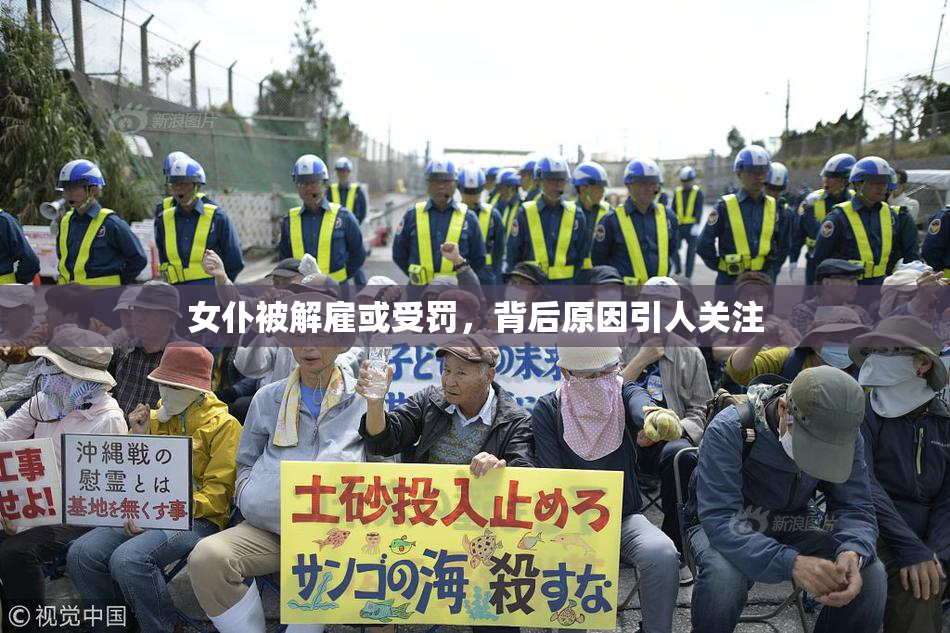 女仆被解雇或受罚，背后原因引人关注