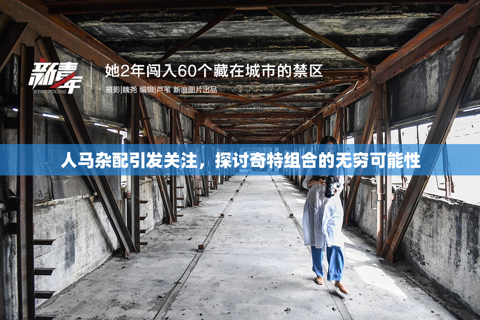 人马杂配引发关注，探讨奇特组合的无穷可能性