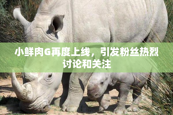 小鲜肉G再度上线，引发粉丝热烈讨论和关注