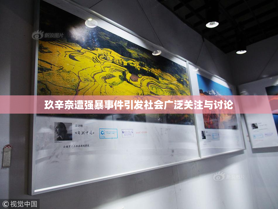 玖辛奈遭强暴事件引发社会广泛关注与讨论