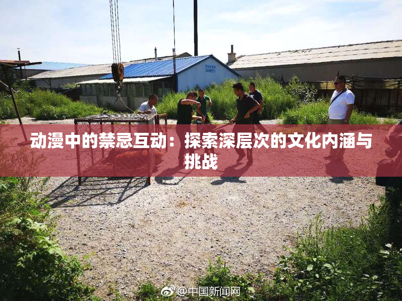 动漫中的禁忌互动：探索深层次的文化内涵与挑战