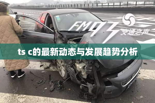 ts c的最新动态与发展趋势分析