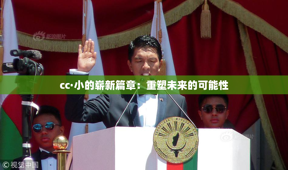 cc·小的崭新篇章：重塑未来的可能性