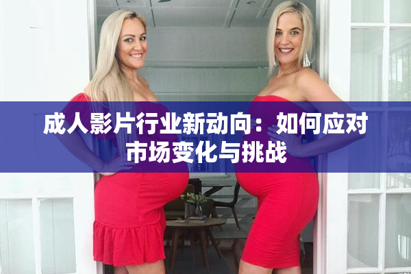 成人影片行业新动向：如何应对市场变化与挑战