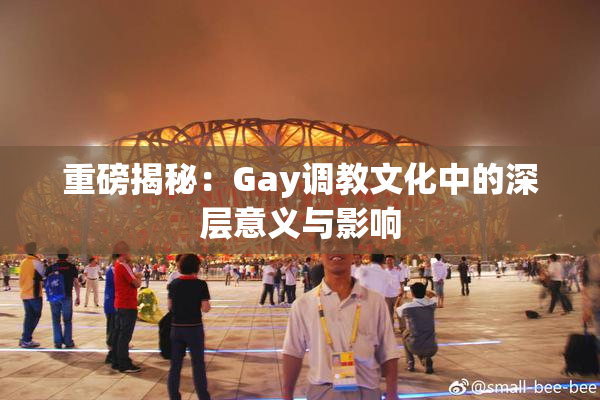 重磅揭秘：Gay调教文化中的深层意义与影响