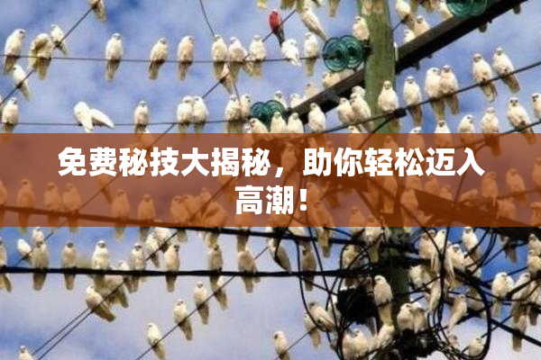 免费秘技大揭秘，助你轻松迈入高潮！