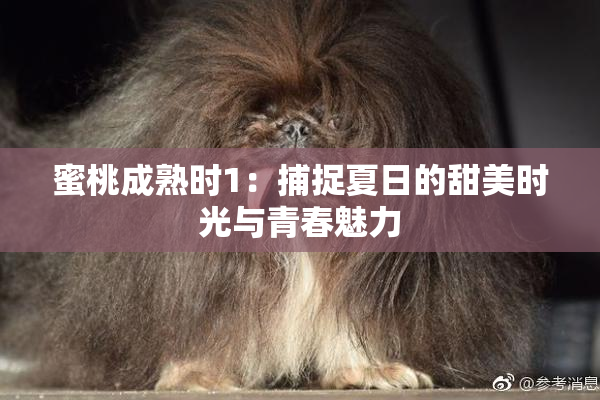 蜜桃成熟时1：捕捉夏日的甜美时光与青春魅力