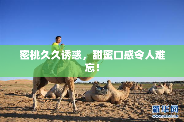 密桃久久诱惑，甜蜜口感令人难忘！
