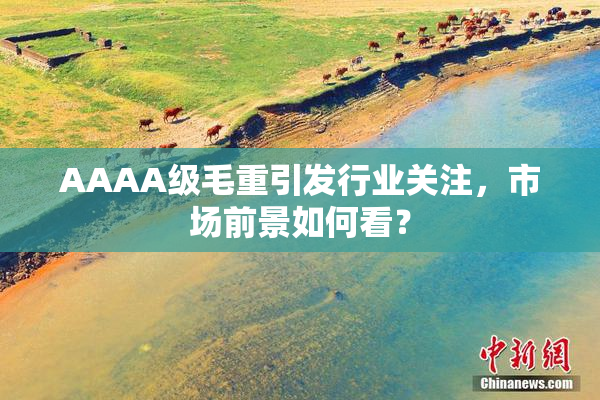 AAAA级毛重引发行业关注，市场前景如何看？