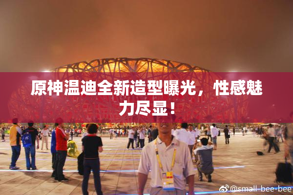 原神温迪全新造型曝光，性感魅力尽显！