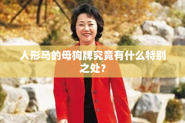 人形马的母狗牌究竟有什么特别之处？