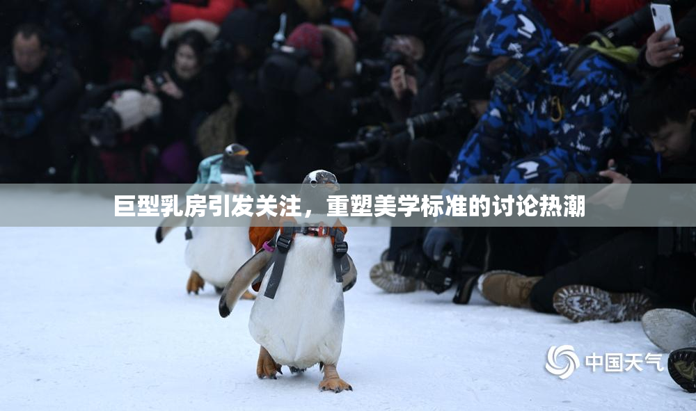 巨型乳房引发关注，重塑美学标准的讨论热潮