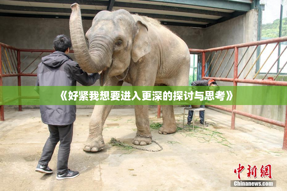 《好紧我想要进入更深的探讨与思考》