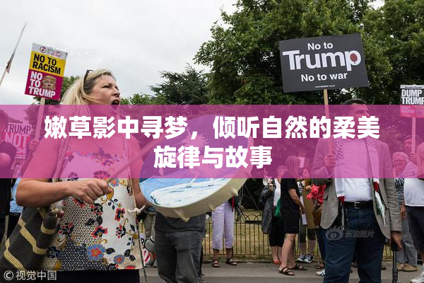 嫩草影中寻梦，倾听自然的柔美旋律与故事