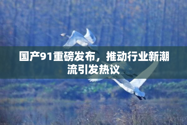国产91重磅发布，推动行业新潮流引发热议