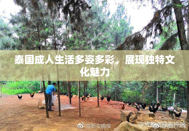 泰国成人生活多姿多彩，展现独特文化魅力