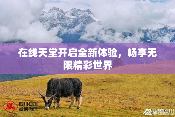 在线天堂开启全新体验，畅享无限精彩世界