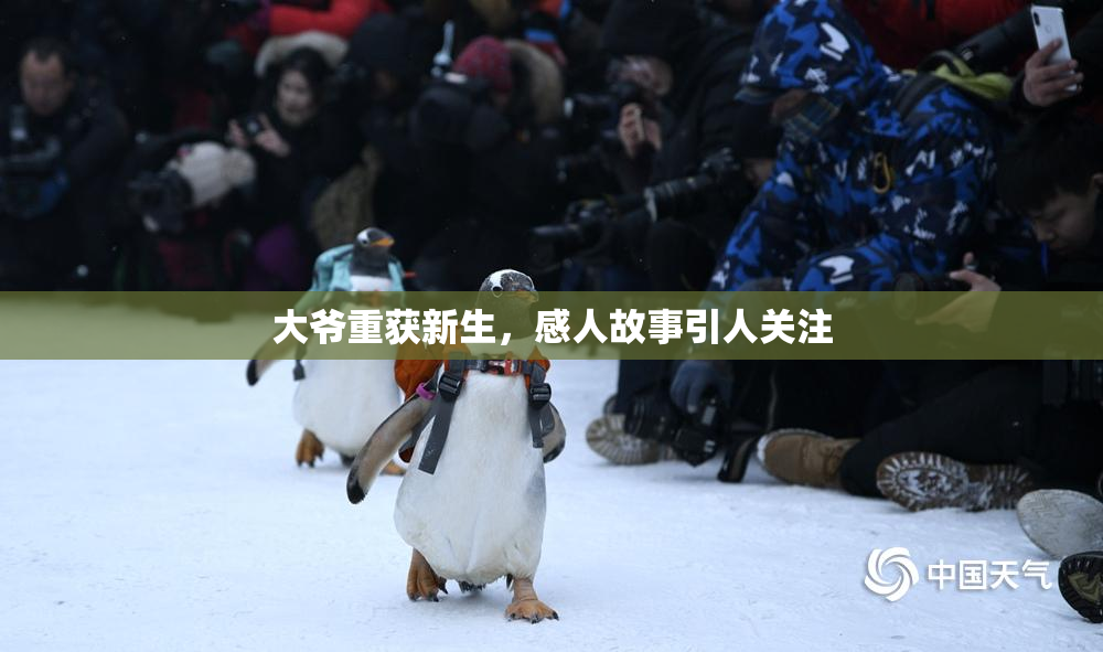 大爷重获新生，感人故事引人关注