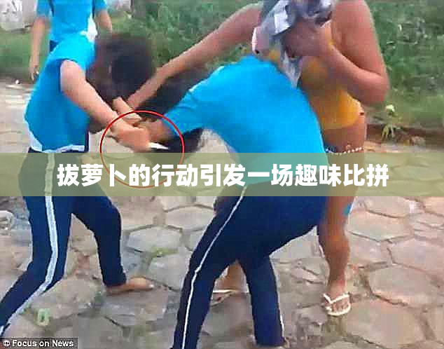 拔萝卜的行动引发一场趣味比拼