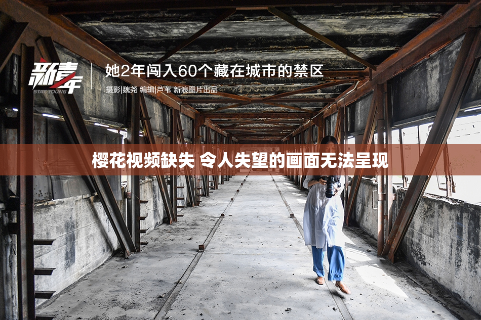 樱花视频缺失 令人失望的画面无法呈现