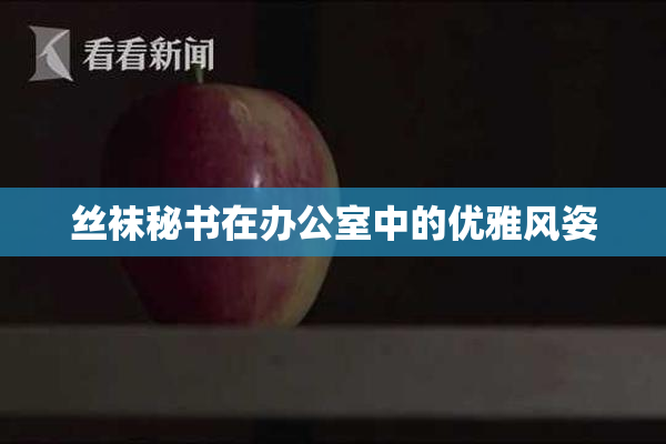 丝袜秘书在办公室中的优雅风姿