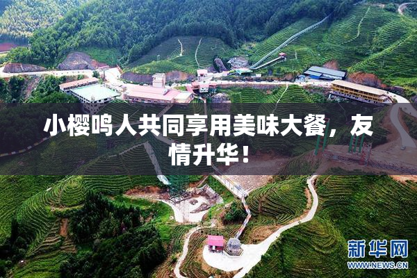 小樱鸣人共同享用美味大餐，友情升华！