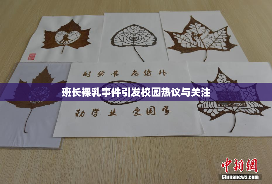 班长裸乳事件引发校园热议与关注