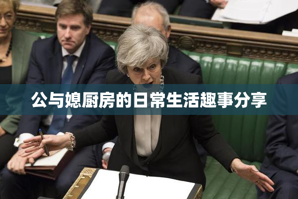 公与媳厨房的日常生活趣事分享