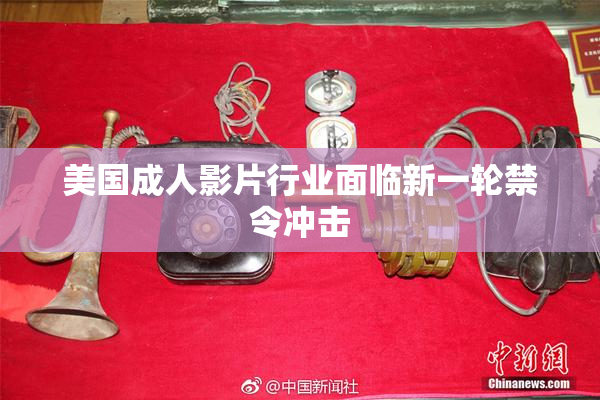 美国成人影片行业面临新一轮禁令冲击