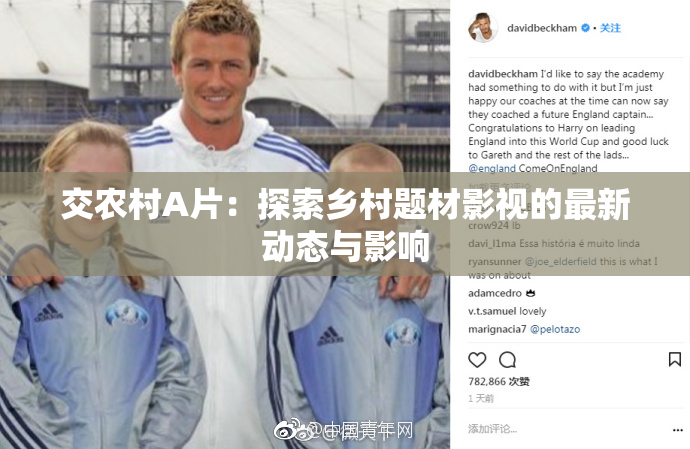 交农村A片：探索乡村题材影视的最新动态与影响