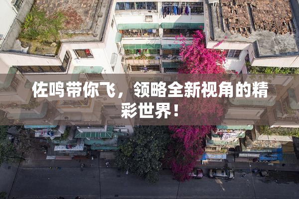 佐鸣带你飞，领略全新视角的精彩世界！