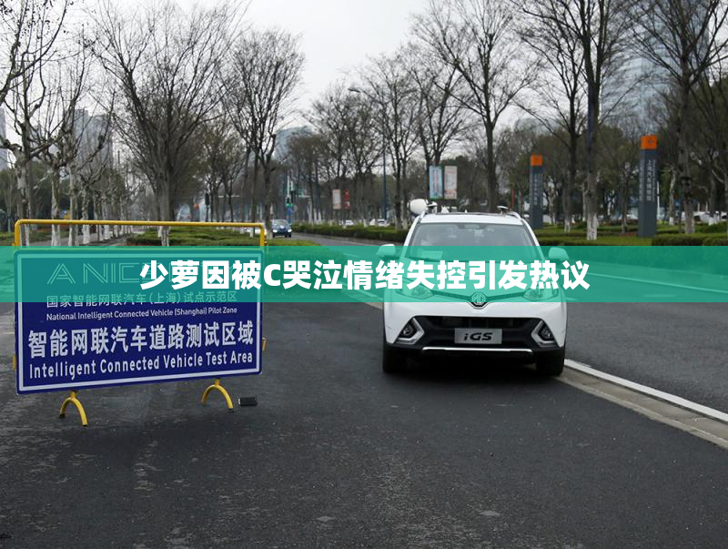 少萝因被C哭泣情绪失控引发热议