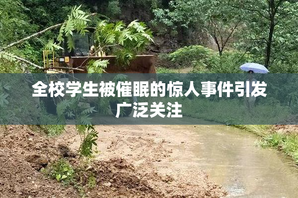 全校学生被催眠的惊人事件引发广泛关注